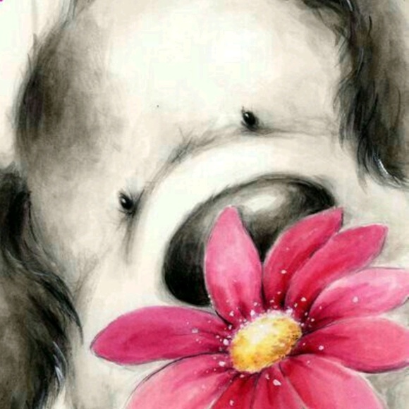 Meet your Posher, Rachel - Picture 1 of 1